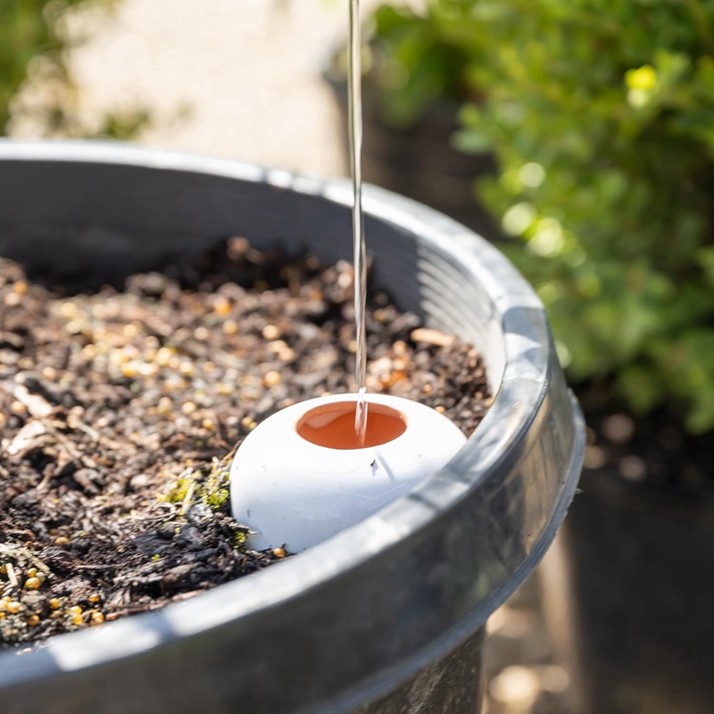 Kula do podlewania roślin, kol – Self Watering Insert recenzja i cena