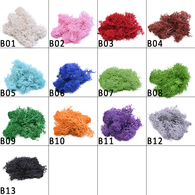 20-40g sztuczna naturalna rośl – Sphagnum Moss Dry recenzja i cena